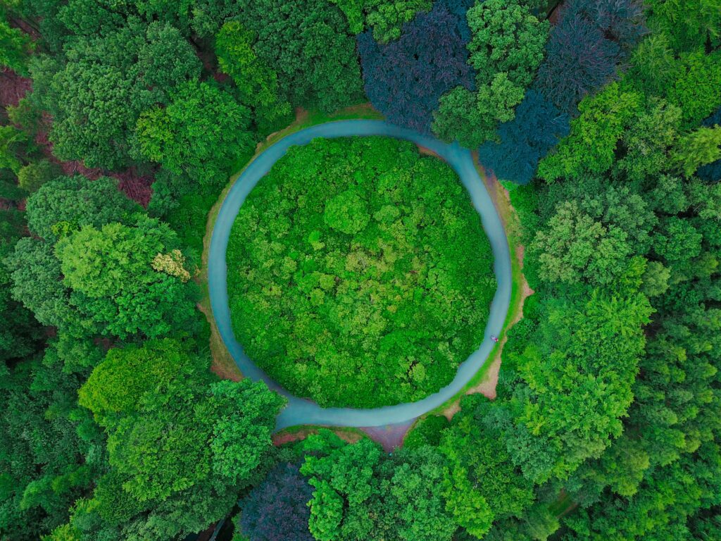 Forest photographed with a drone | Woodford Recycling