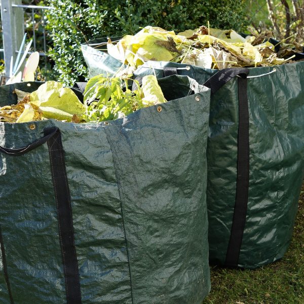 Garden Waste Skip vs Going to the Tip