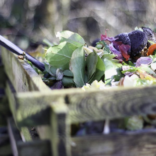 What Can Be Composted? – Garden Recycling Guide